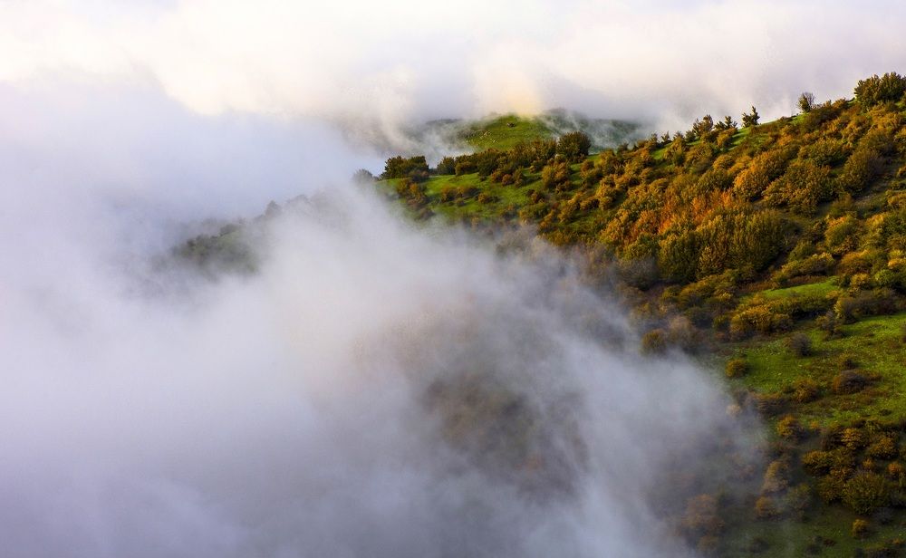 Photograph by aidin bakhtiari