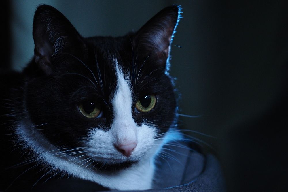 Photograph by Глухоманюк Галина