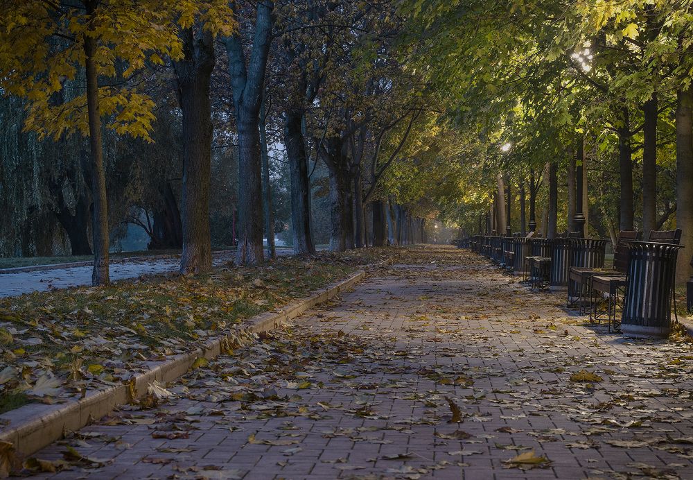 Photograph by Бирюков Вячеслав