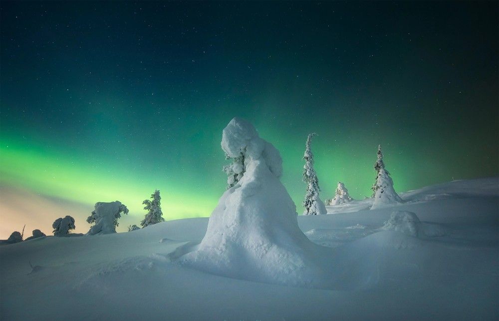 Photograph by Елена Ермолина