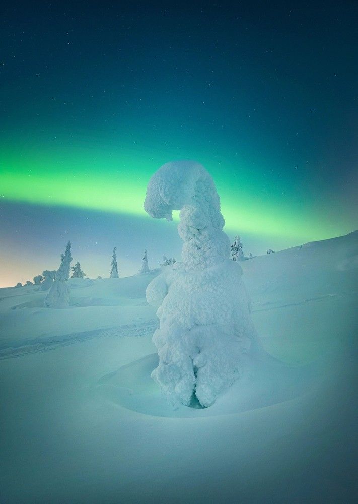 Photograph by Елена Ермолина