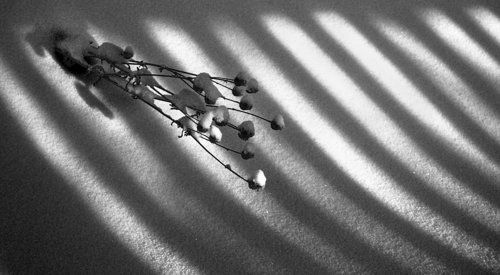 Photograph by Ольга Заболотская