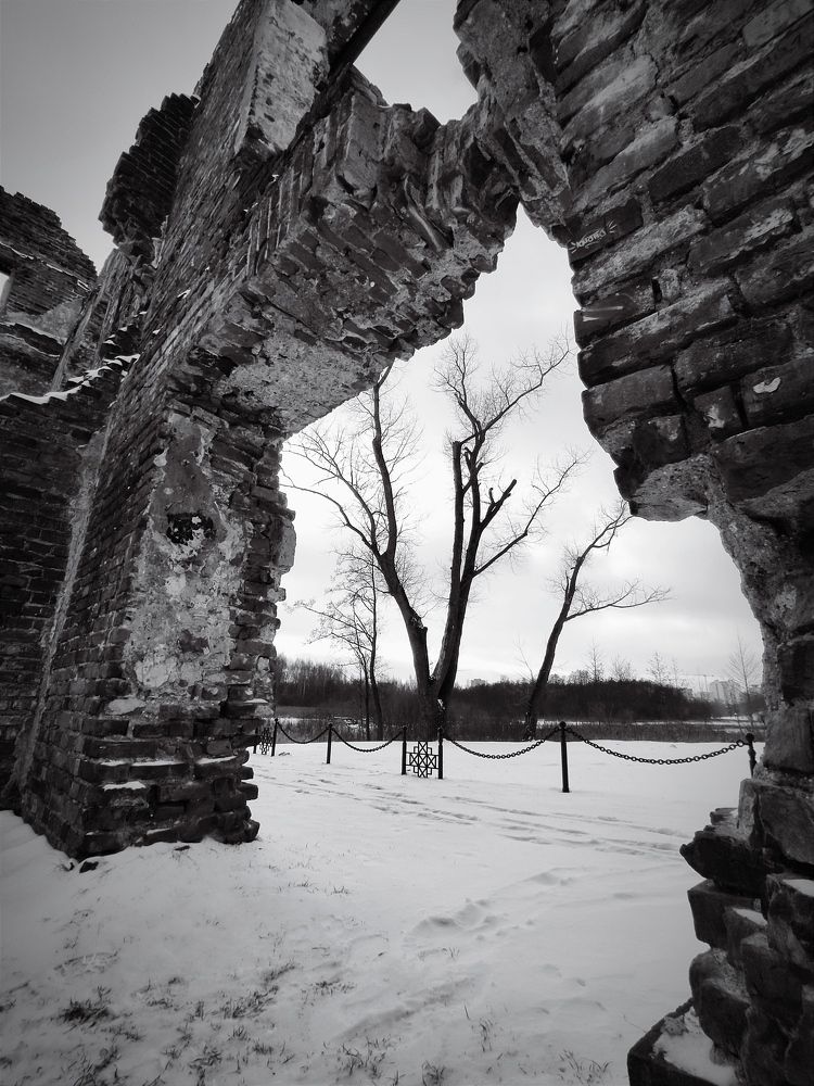 Photograph by Ирина Сыровежкина