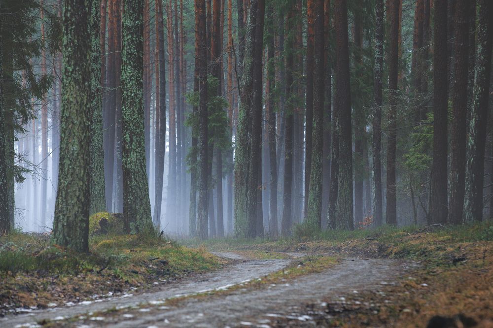 Photograph by Wiktor Kulesa