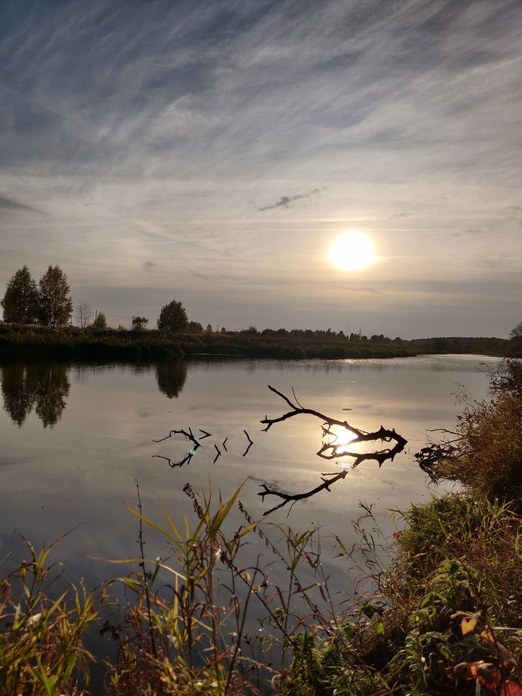 Photo #7374385