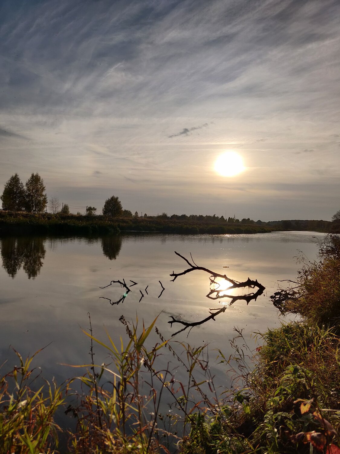 Photo #7374385