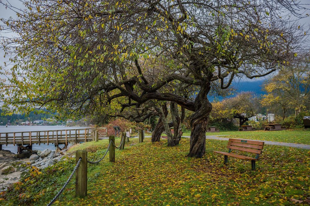 Photograph by Fariborz Alaghehband