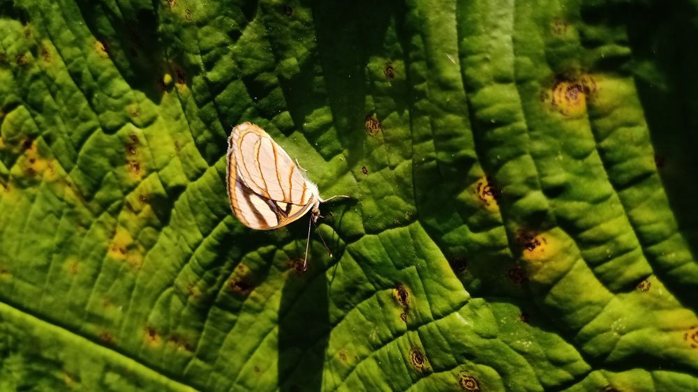 Photograph by Maria de los Angeles Osorio