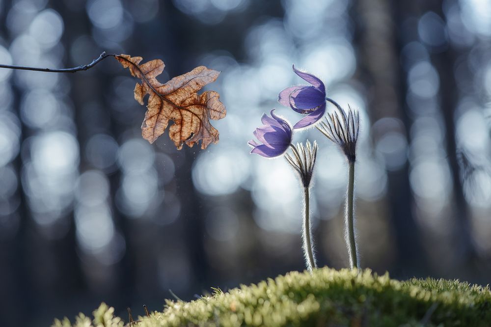 "И каждый миг для нас всегда последний..."