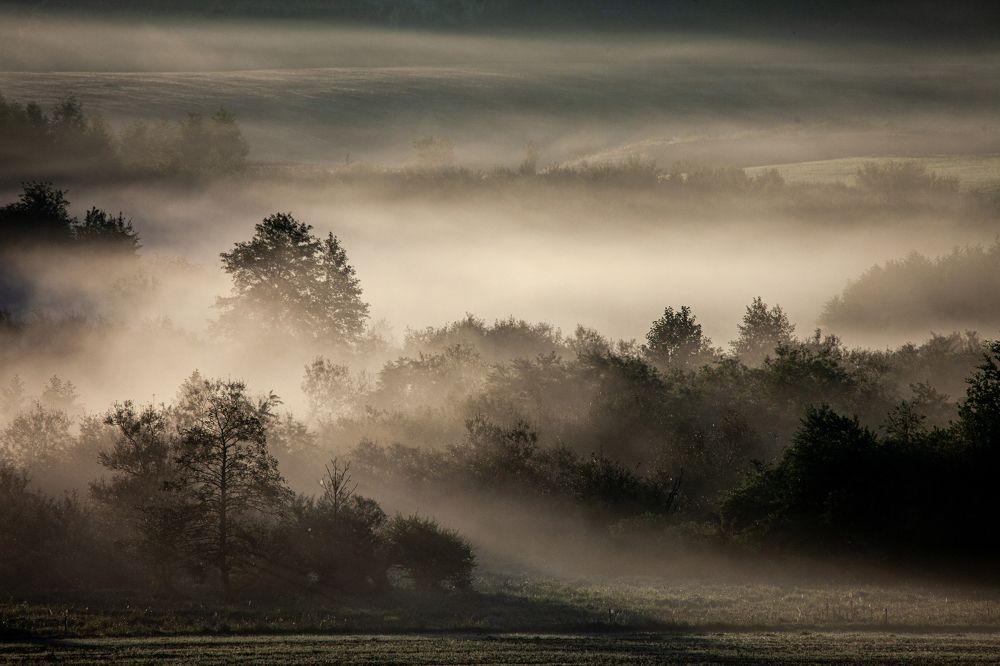 Photograph by Wiktor Kulesa