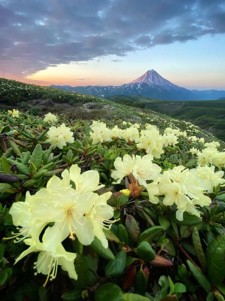 В долине великанов