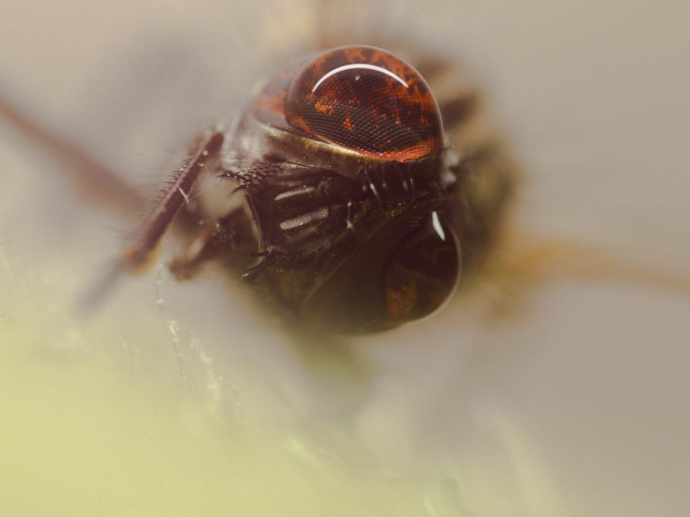 Photograph by Сергей Скорик