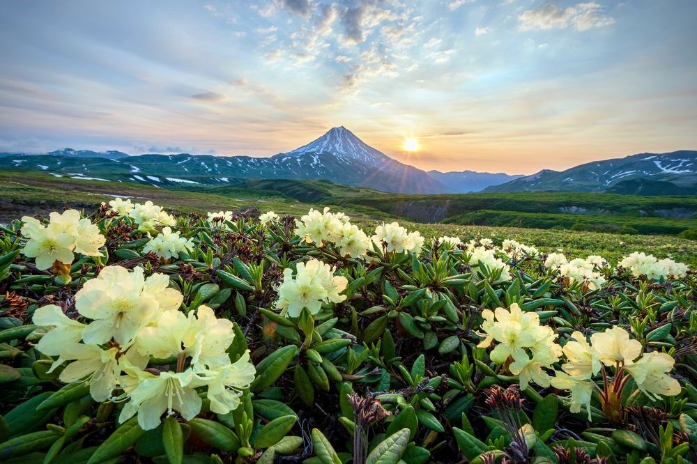 В долине великанов