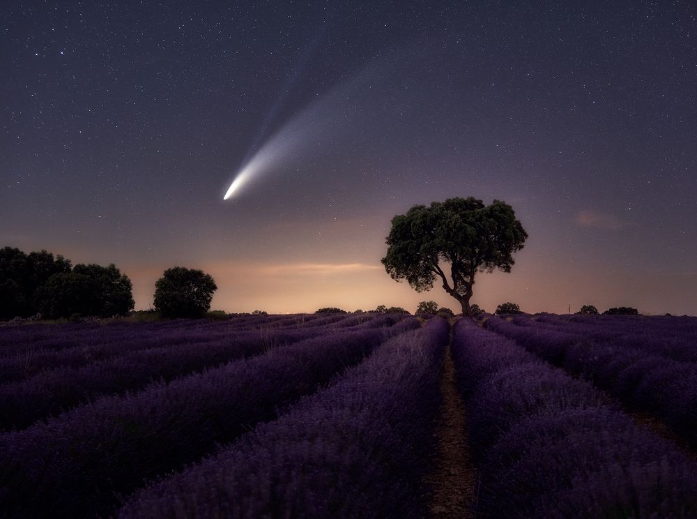 Photograph by Juan Yelin