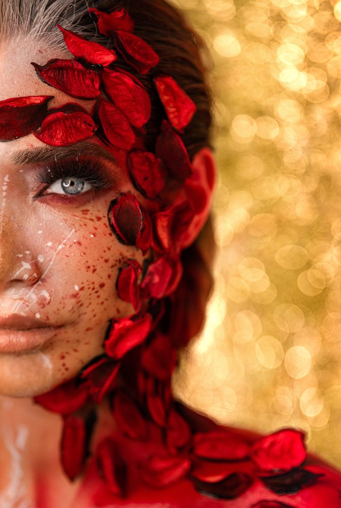 Фотография автора Ibrahim Jalal