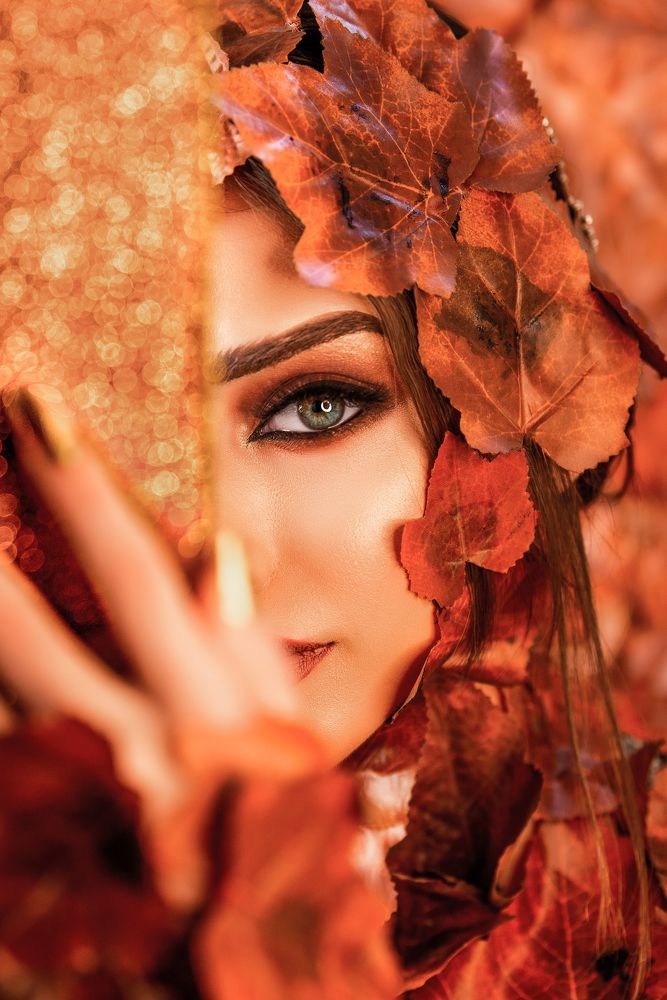 Фотография автора Ibrahim Jalal