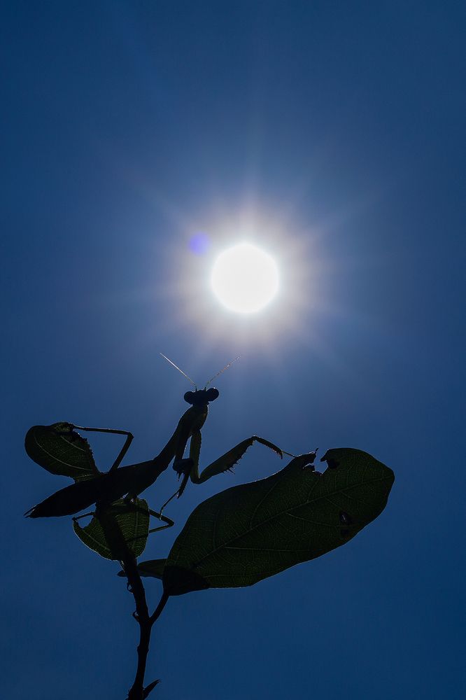 Photograph by Orumanayur Vinod