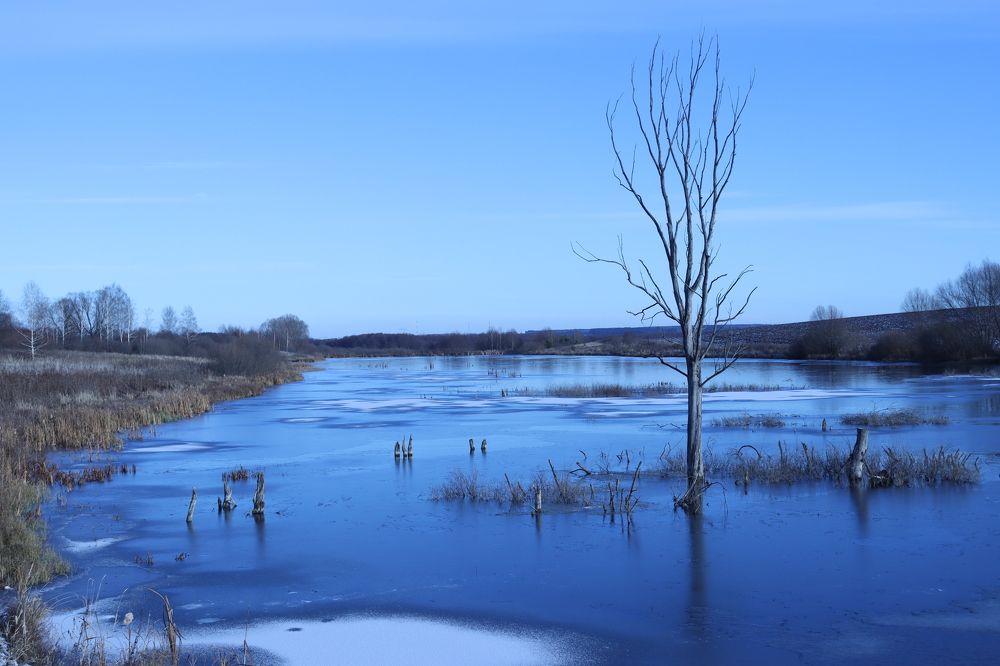 Photograph by Марина Слепова
