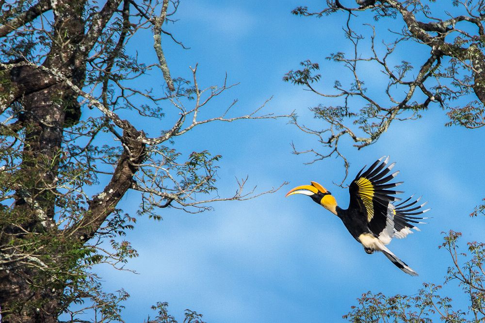 Photograph by Orumanayur Vinod