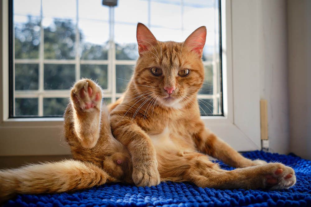 Photograph by Аркадий Сидоренко