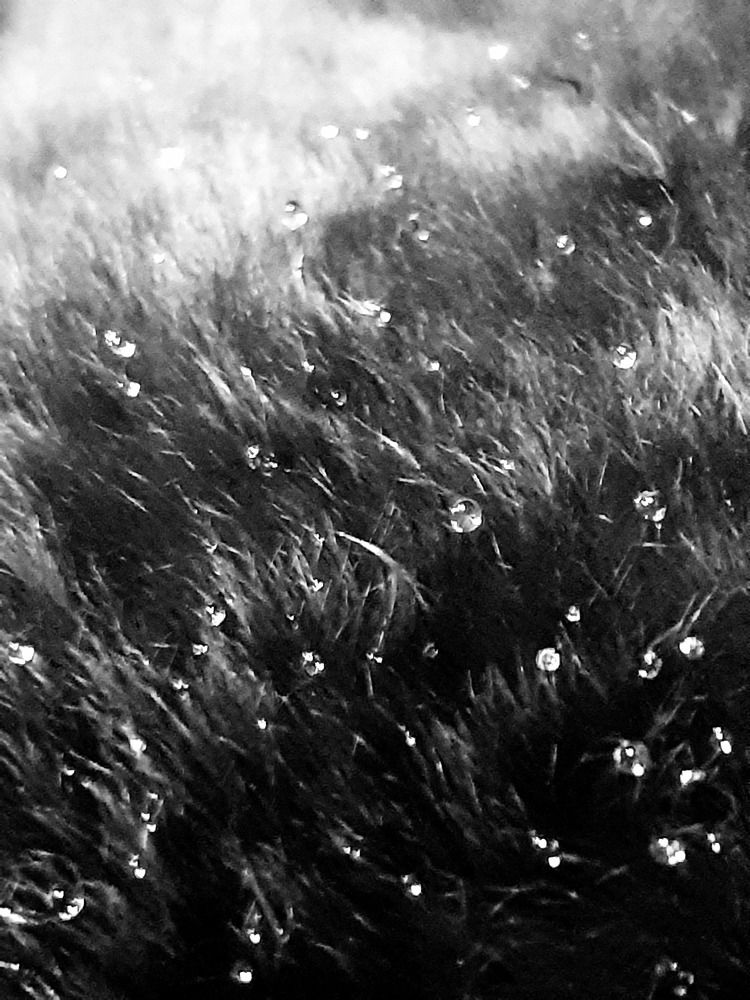 Photograph by Евгения Ульянова