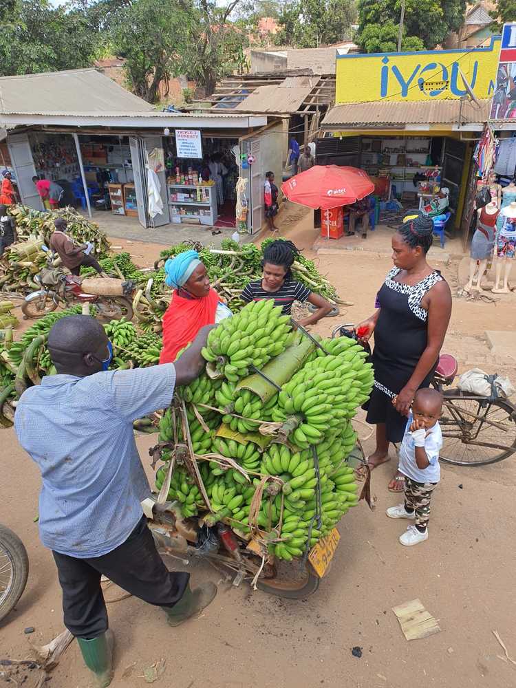 Photograph by Nuno Sousa