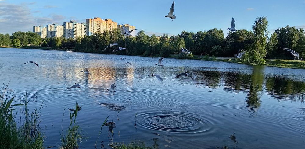 Photograph by Ирина Архипова