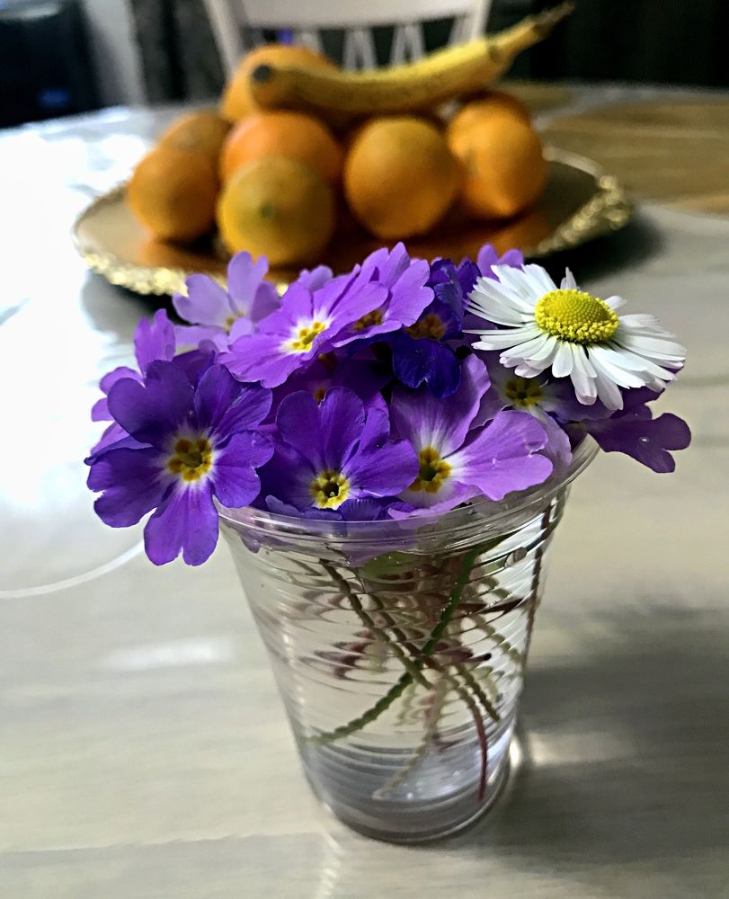 Photograph by рамаз хонелидзе