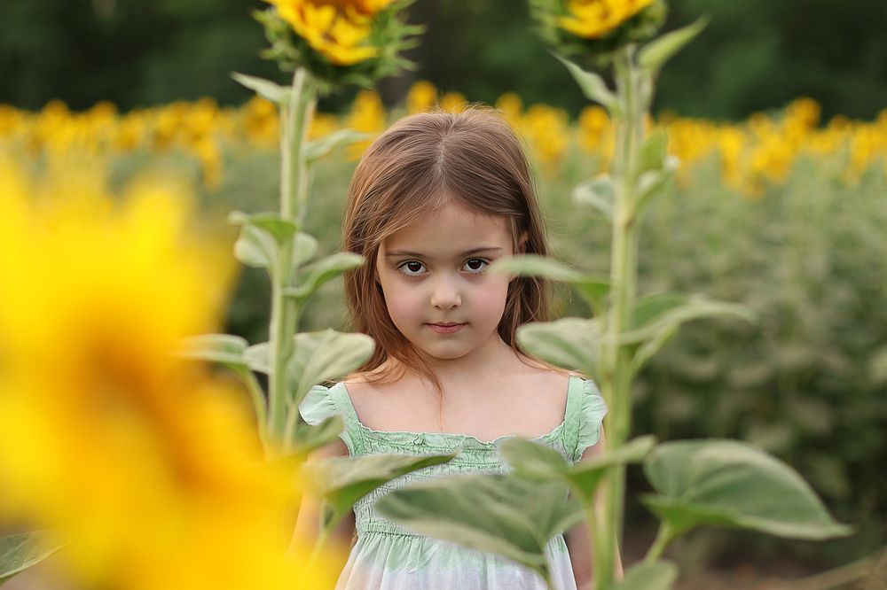 Photograph by Елена Сергина