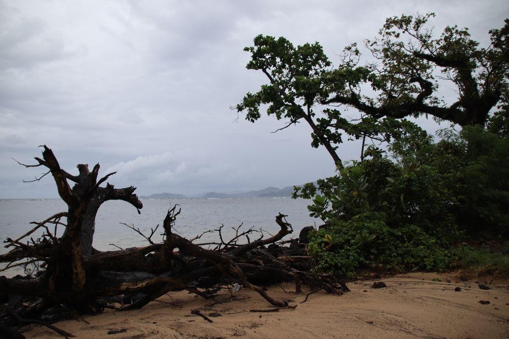 Photograph by Reenum Gounden
