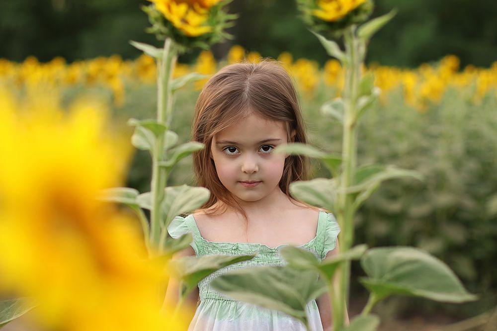 Photograph by Елена Сергина