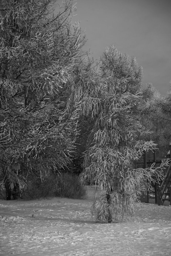 Photograph by Сергей Стукен