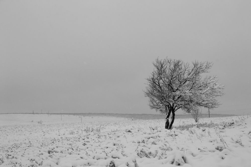 Photograph by Юлия Кононова