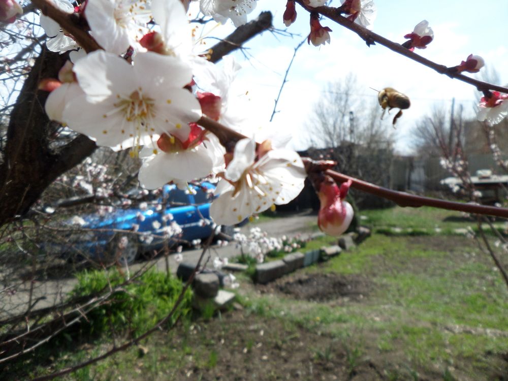 Photo #7375035