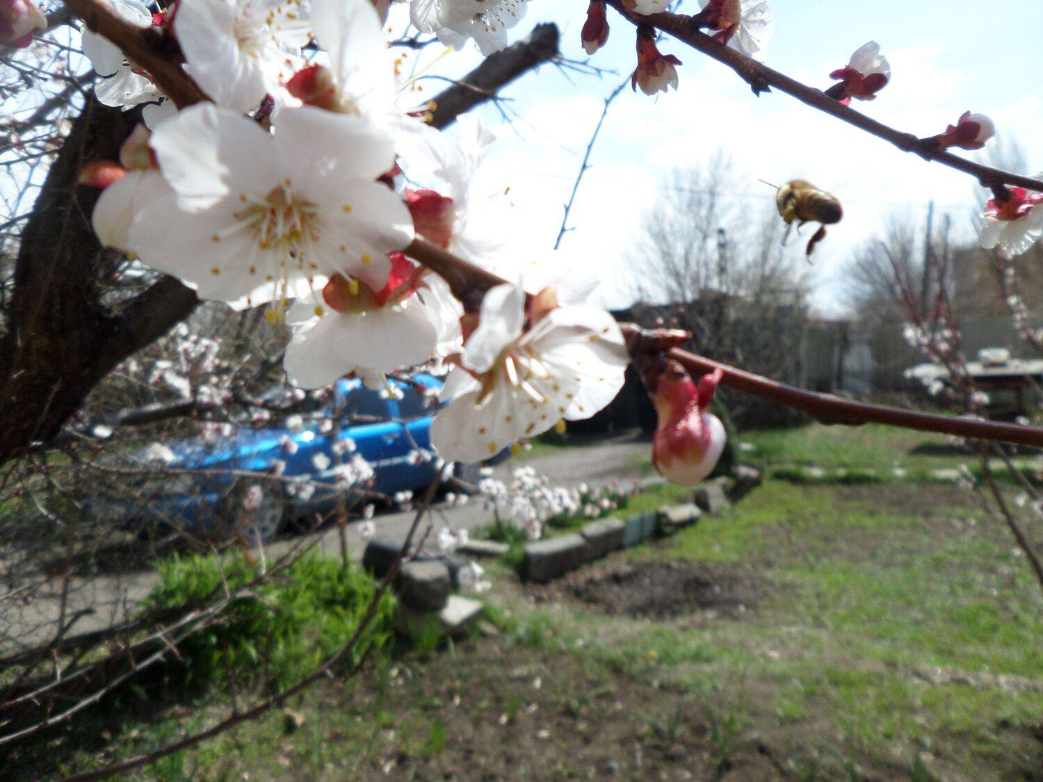 Photo #7375035