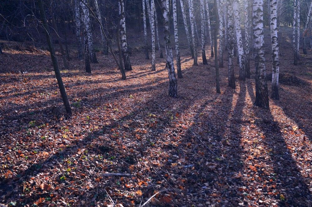 Photograph by Ous Cornel