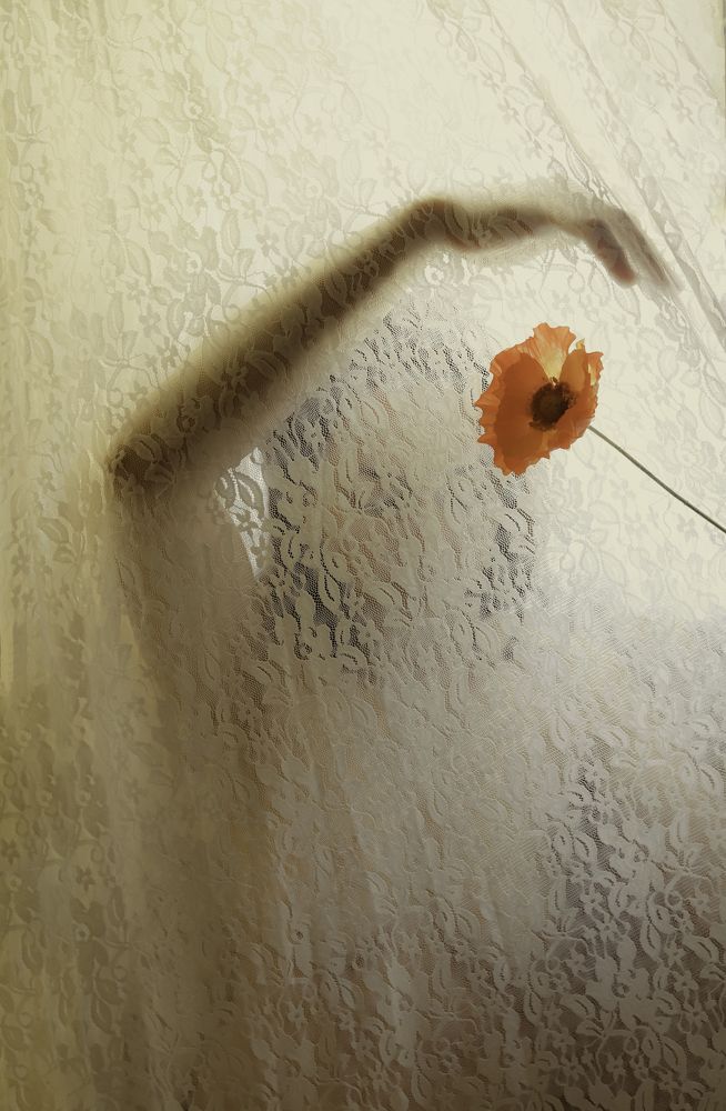 Photograph by Anastasia Strekalovski