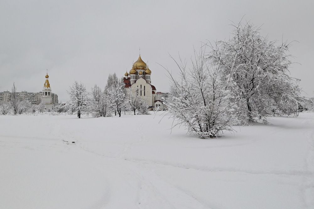 Фотография автора Александр Челмодеев