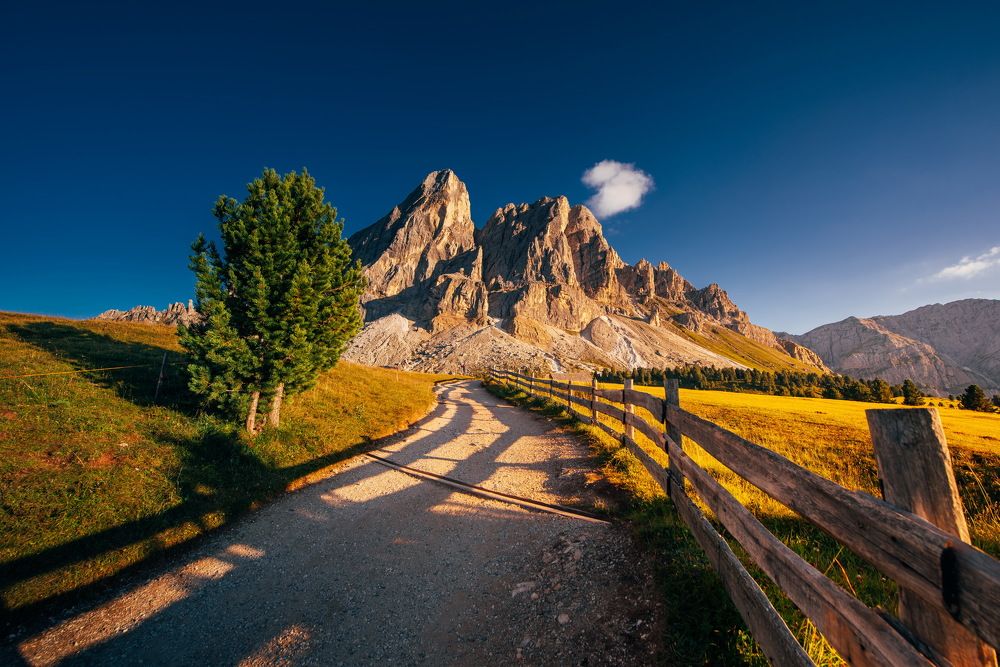 Photograph by Tomislav Safundžić