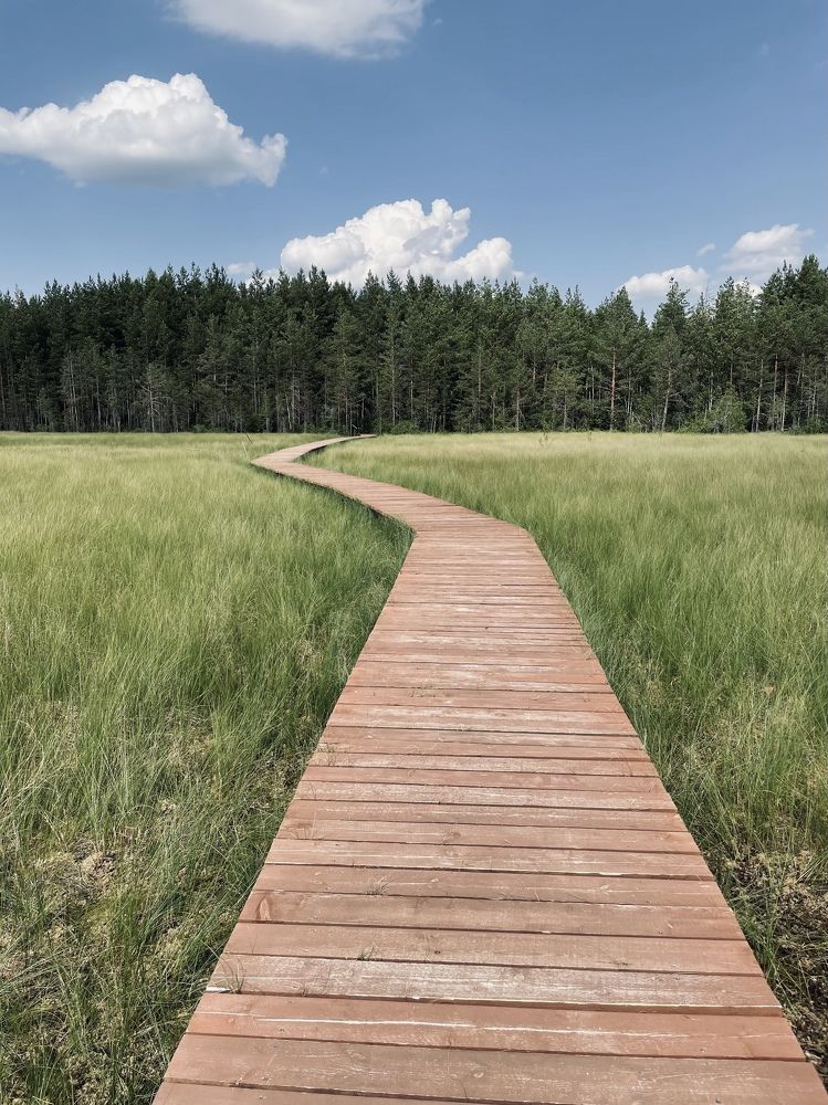 Photograph by Наталья Буракова