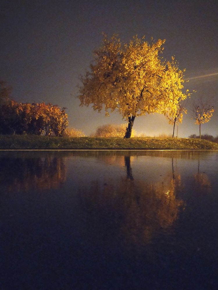 Photograph by Maryna Kukhtsikava