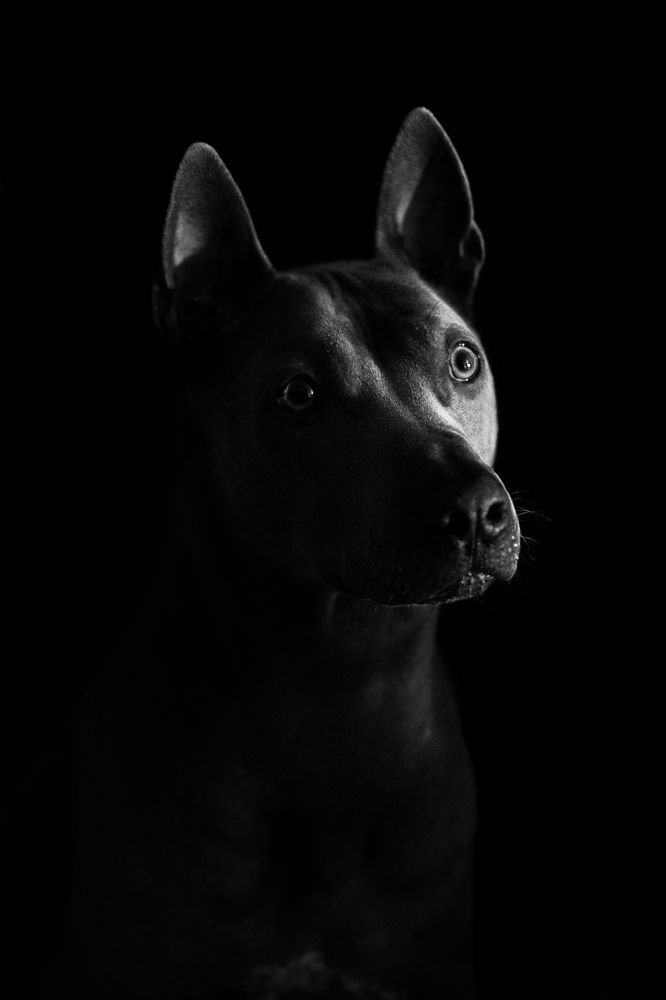 Photograph by Светлана Бурилло