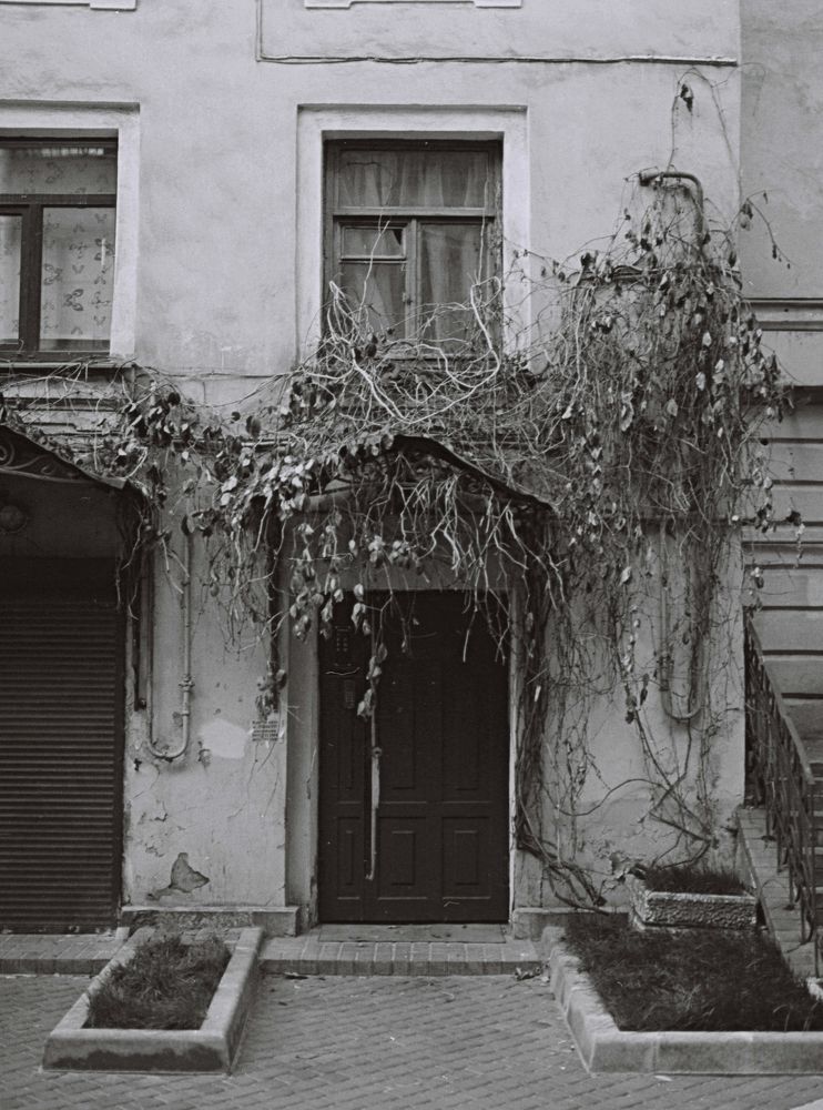 Photograph by Андрей Воробьев