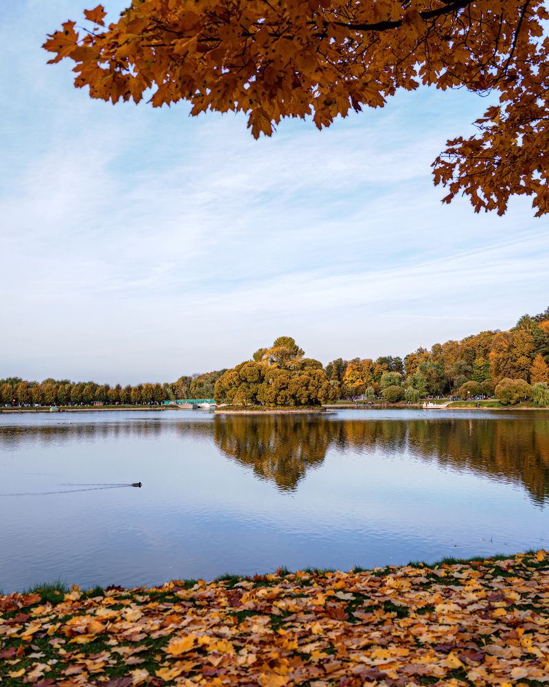 Осень в Царицыне | Autumn in Tsaritsyno park