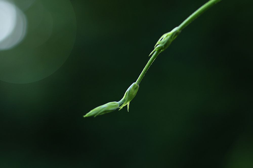 Photograph by Интэро Тиллен