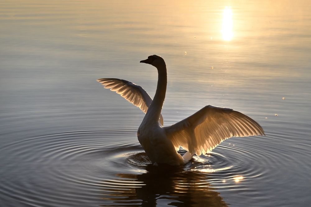 Photograph by Анатолий Андреев