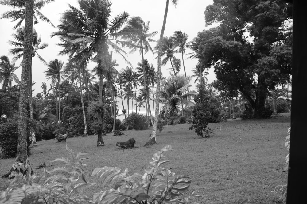 Photograph by Reenum Gounden