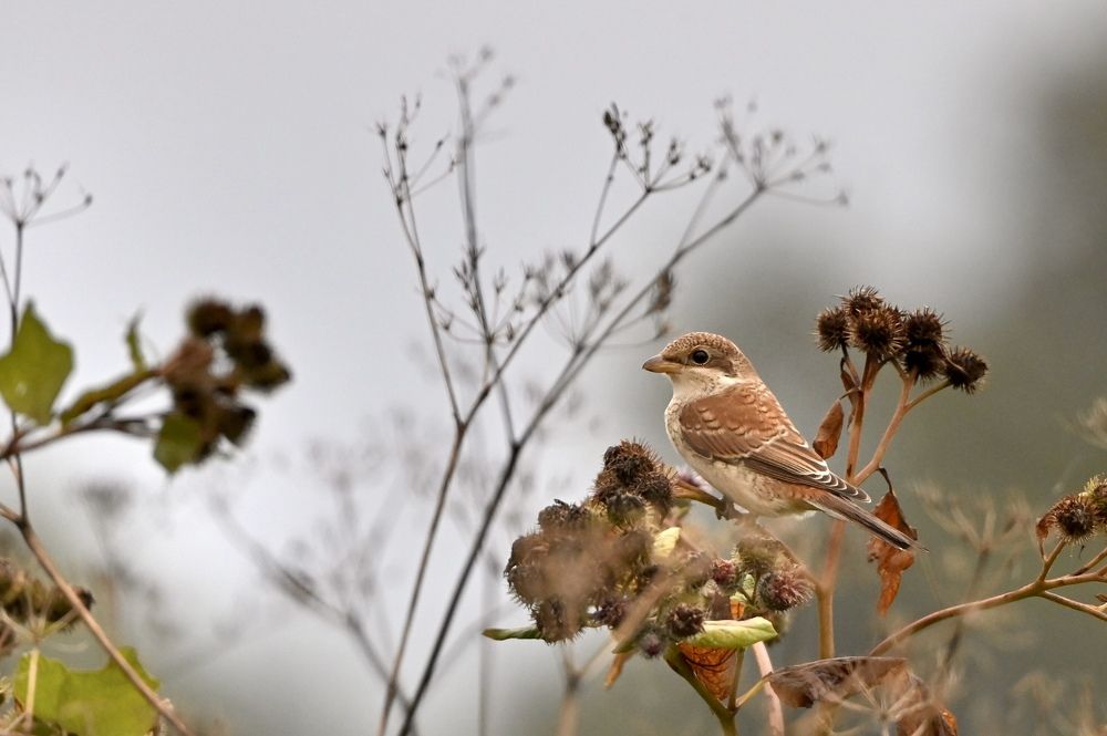 Photograph by Анатолий Андреев