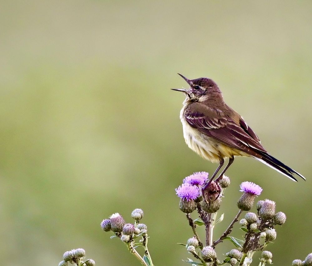 Photograph by Анатолий Андреев