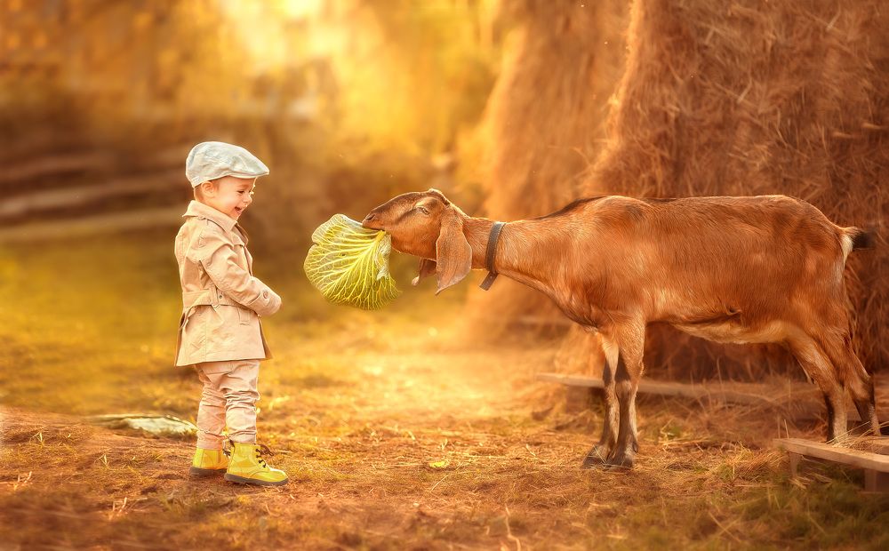 Photograph by Наталья Бушина